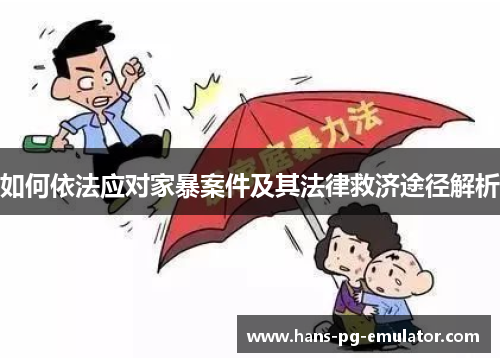 如何依法应对家暴案件及其法律救济途径解析 如何依法应对家暴案件及其法律救济途径解析