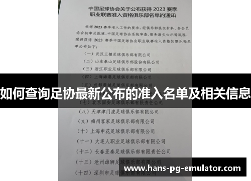 如何查询足协最新公布的准入名单及相关信息 如何查询足协最新公布的准入名单及相关信息