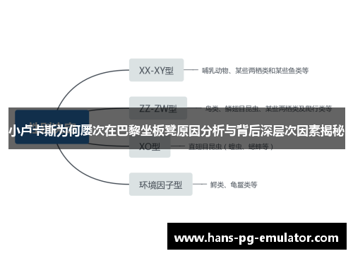 小卢卡斯为何屡次在巴黎坐板凳原因分析与背后深层次因素揭秘 小卢卡斯为何屡次在巴黎坐板凳原因分析与背后深层次因素揭秘